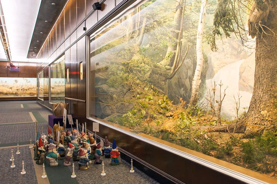 Bell Museum of Natural History — image 2