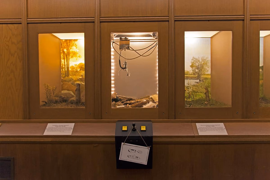 Bell Museum of Natural History — image 5