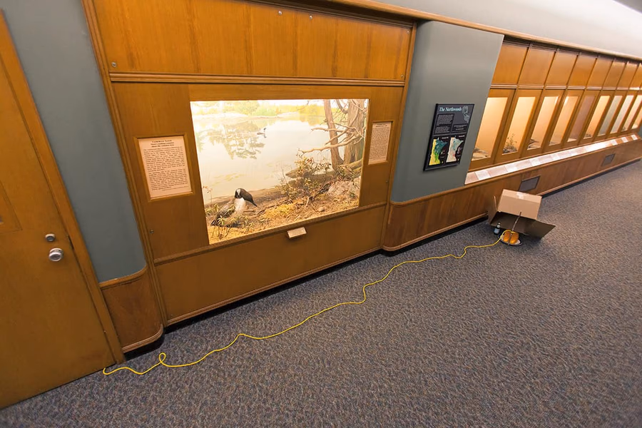 Bell Museum of Natural History — image 17