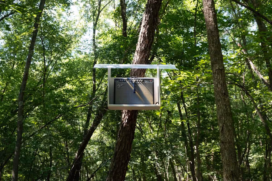The Trees — image 3