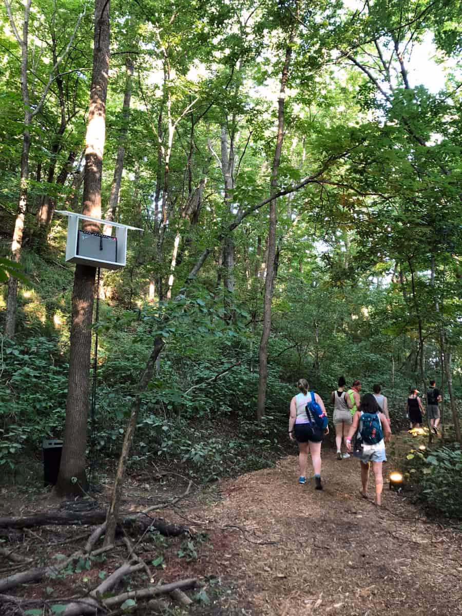 The Trees — image 8