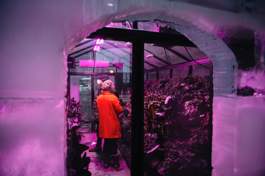 Conservatory — image 4