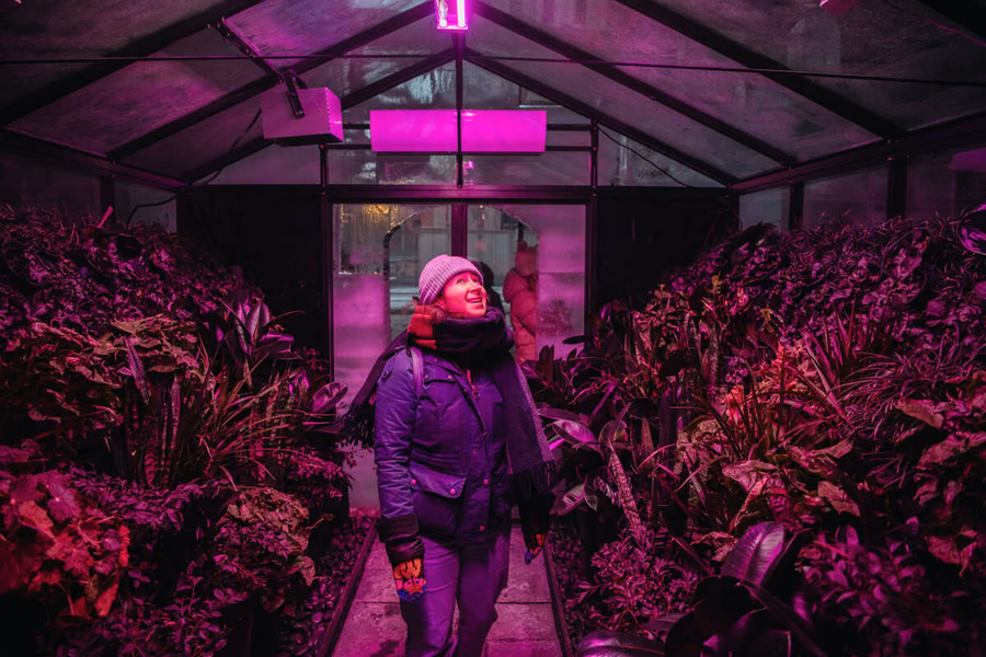 Conservatory — image 5