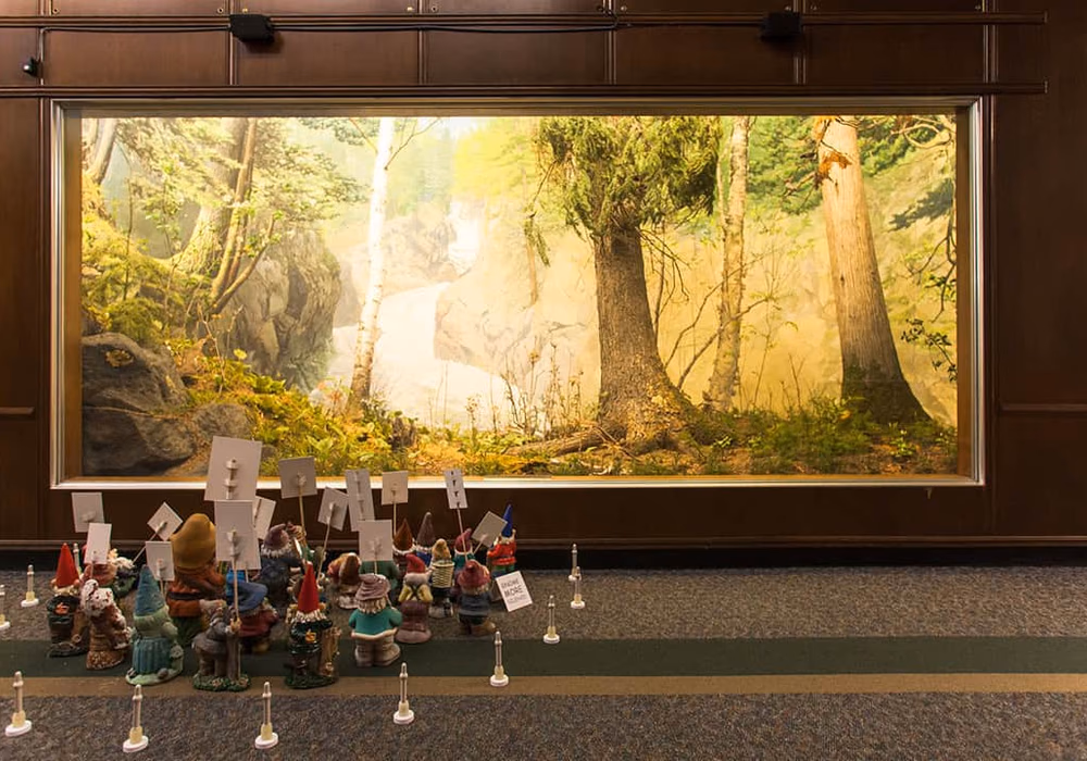 Bell Museum of Natural History