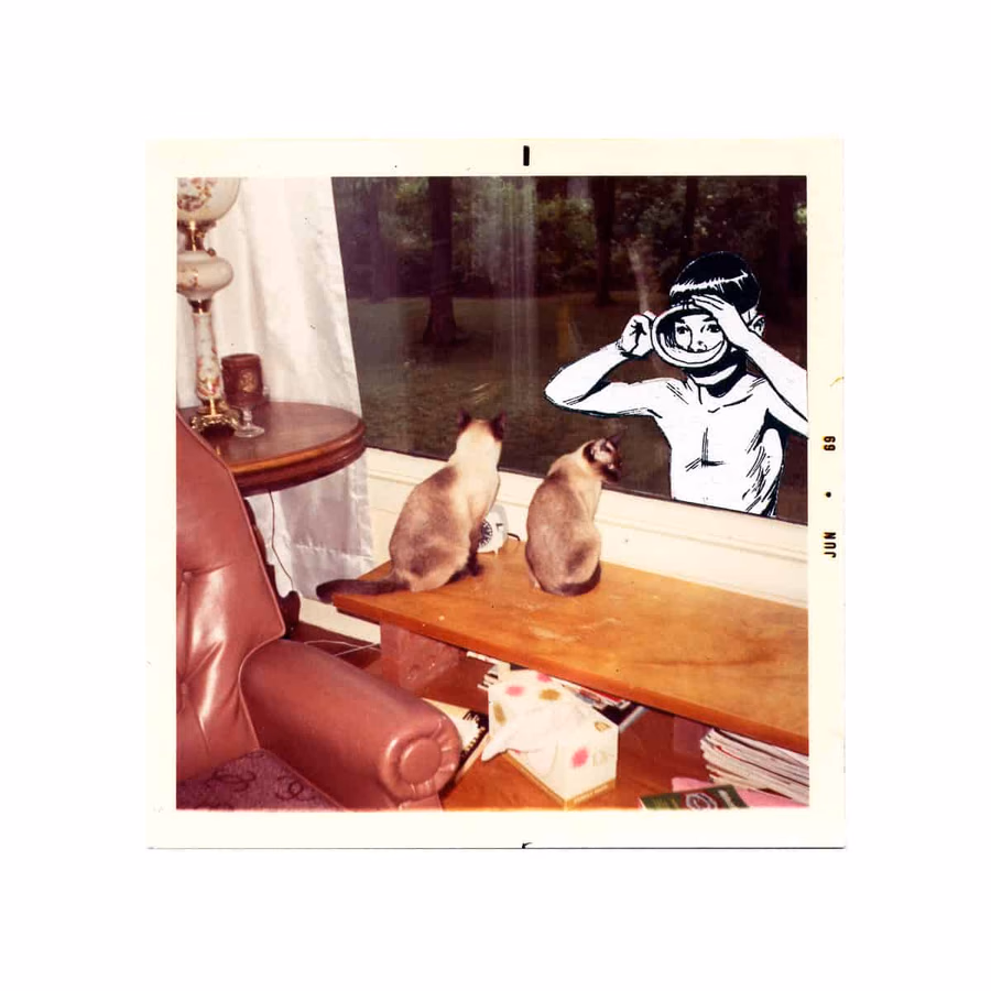 Untitled collage series — image 15