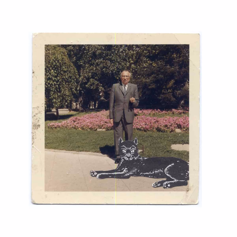 Untitled collage series — image 13
